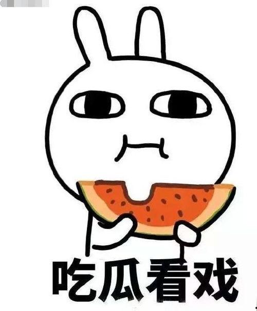 娱乐吃瓜君绵羊